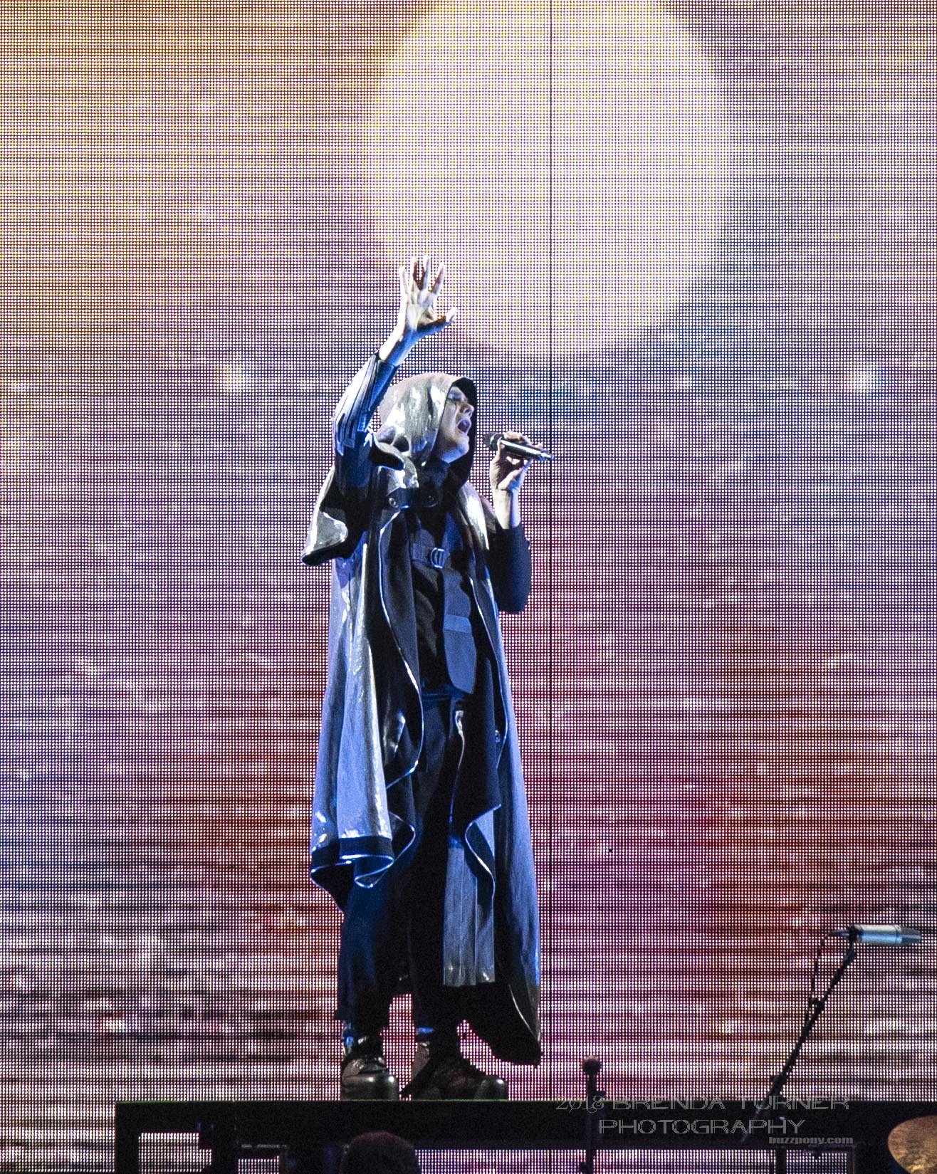 Smash Pumpkins btp 12