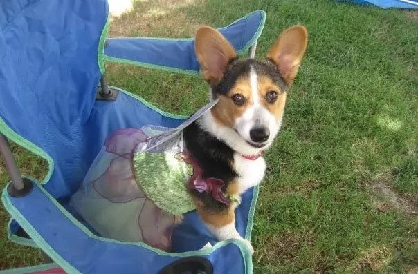 33 Costumes That Prove Always Win At Halloween