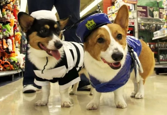 33 Costumes That Prove Always Win At Halloween