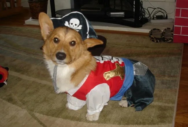 33 Costumes That Prove Always Win At Halloween