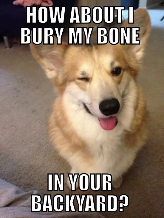10 Funny Memes