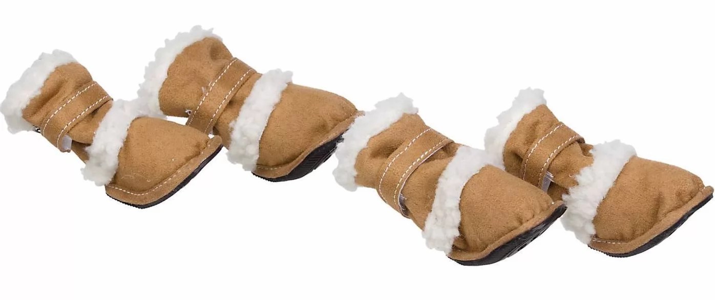 How To Choose The Best Dog Boots For Winter?