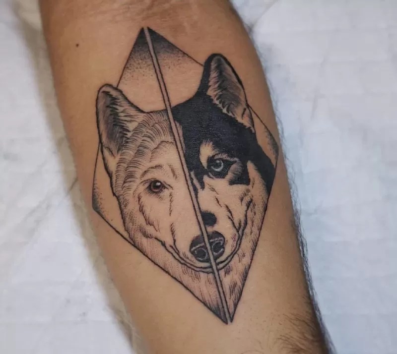 16 Husky Tattoo Ideas