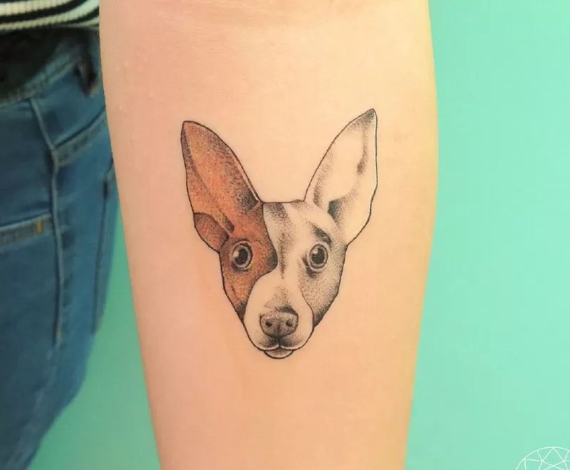 15 Jack Russell Tattoo Ideas