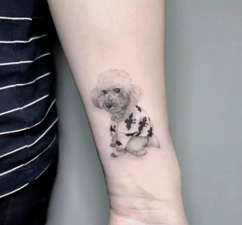 15 Ideas for Bichon Frise Tattoo Page 5 of 5