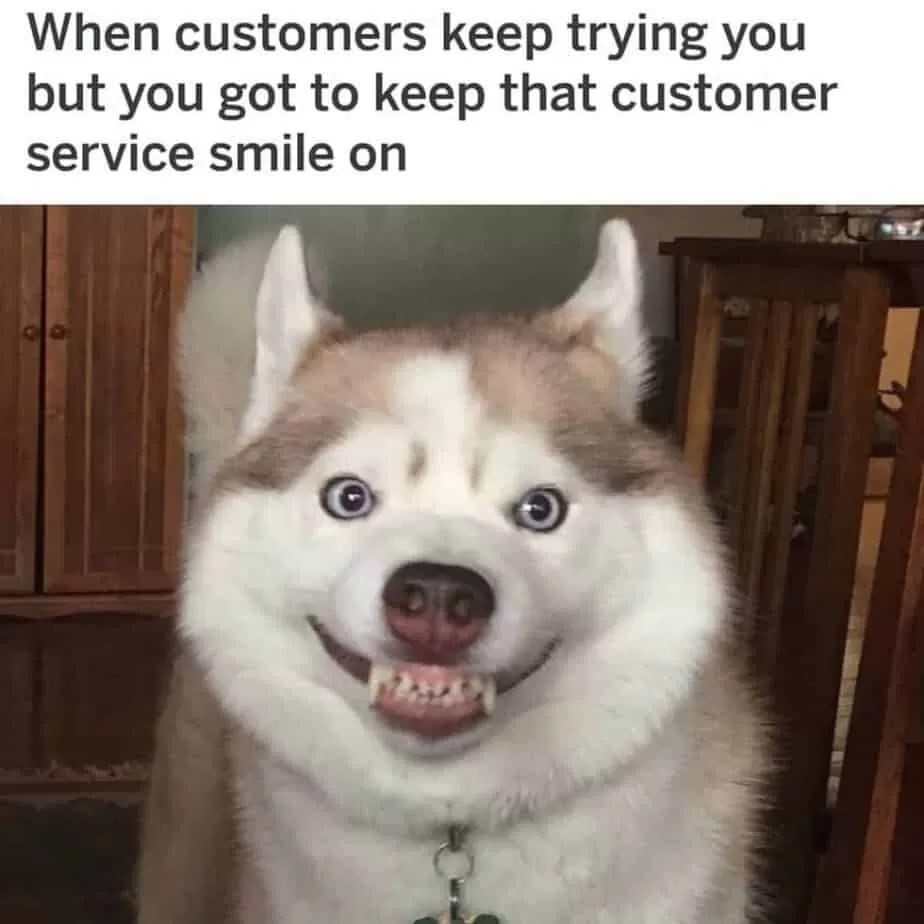 15 Funny Siberian Husky Memes To Make Your Day