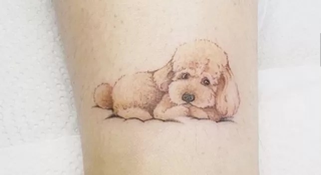 15 Labradoodle Tattoo Ideas Page 5 of 5