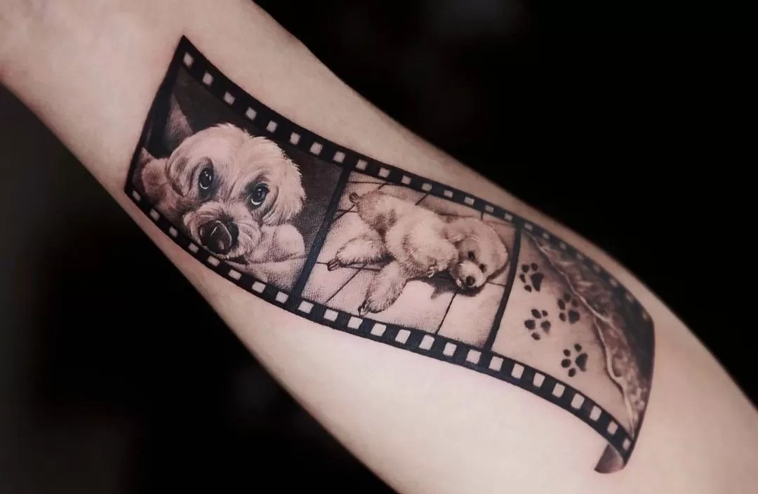 15 Ideas for Maltese Tattoo Page 3 of 5