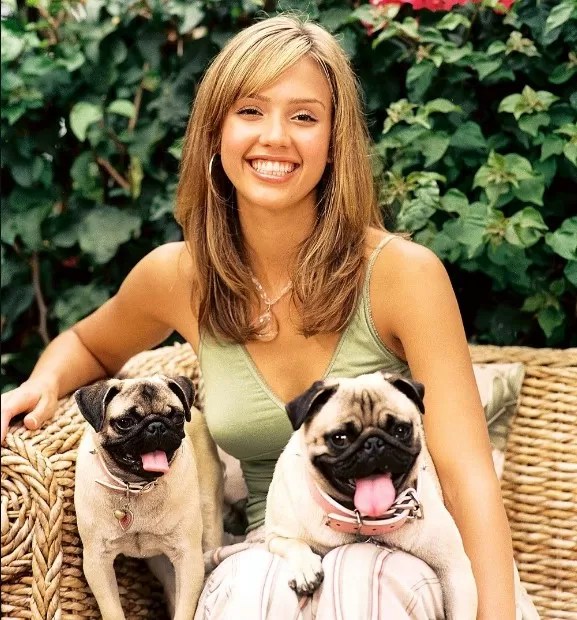 15 Celebrities Who Are Major Pug Lovers