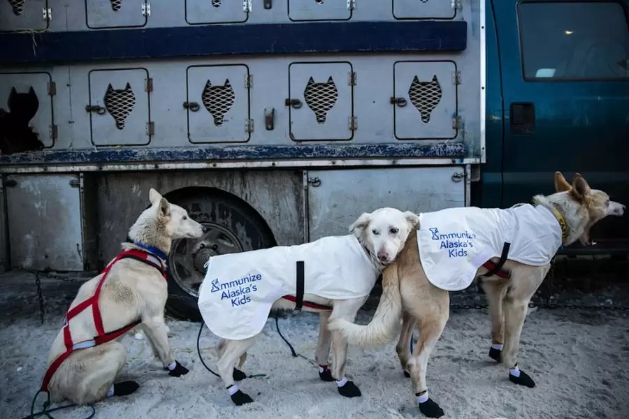 Iditarod The Last Great Race
