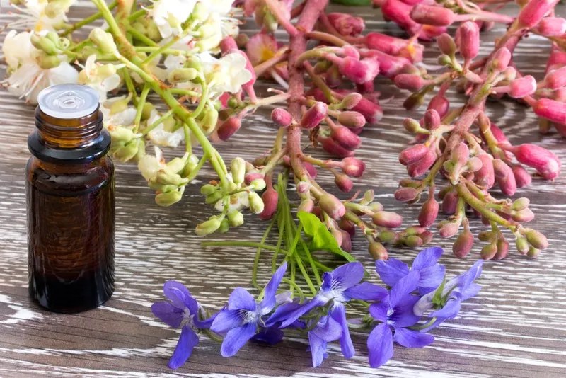 Bach Flower Remedies for Dogs