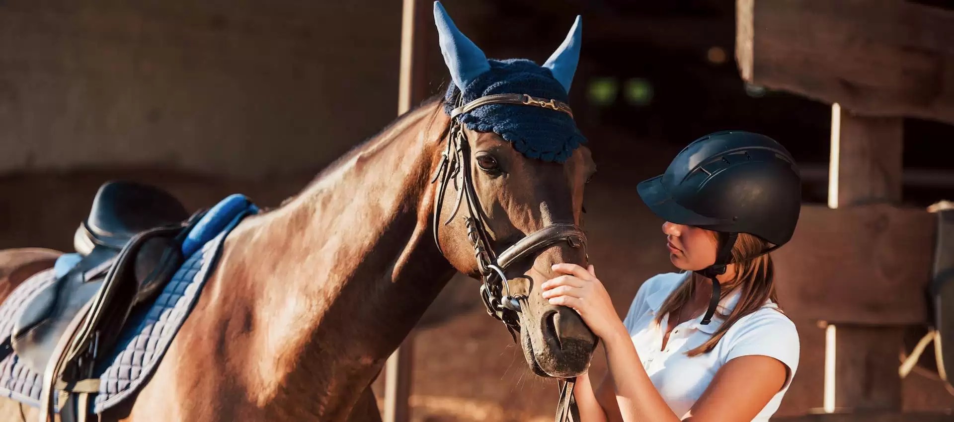 Horse Health Insurance Protects You and Your Horse