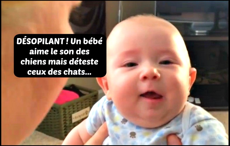 DÉSOPILANT ! Un bébé qui aime bien les chiens mais qui