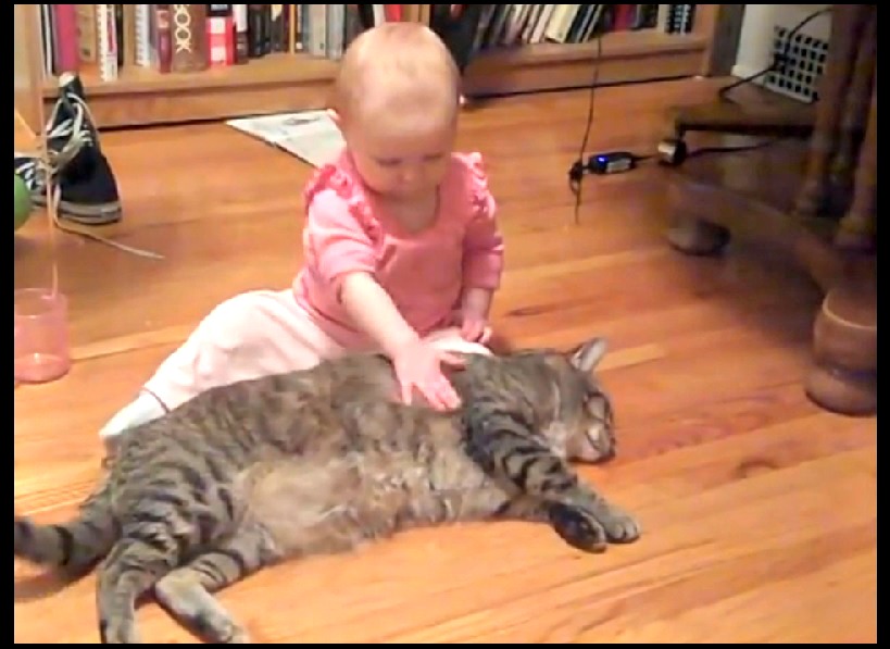 OMG ! Voici le chat le plus patient au MONDE... Lolll à