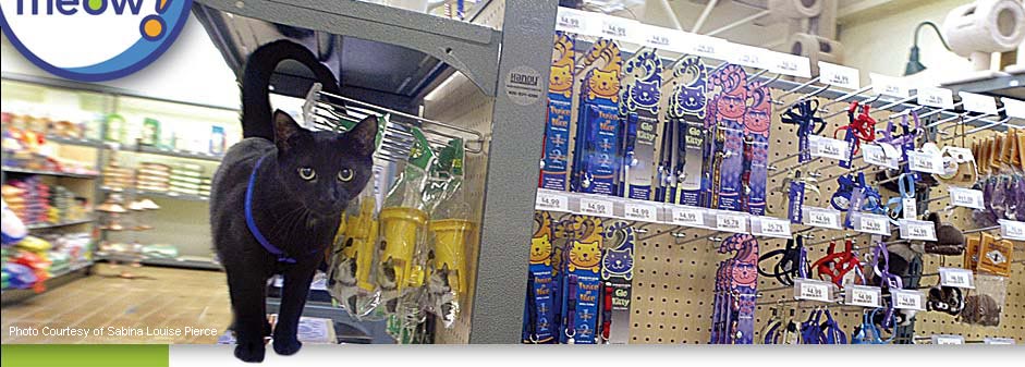 Buzzy's Providing the companion animals of Ardmore, Bala Cynwyd, Bryn