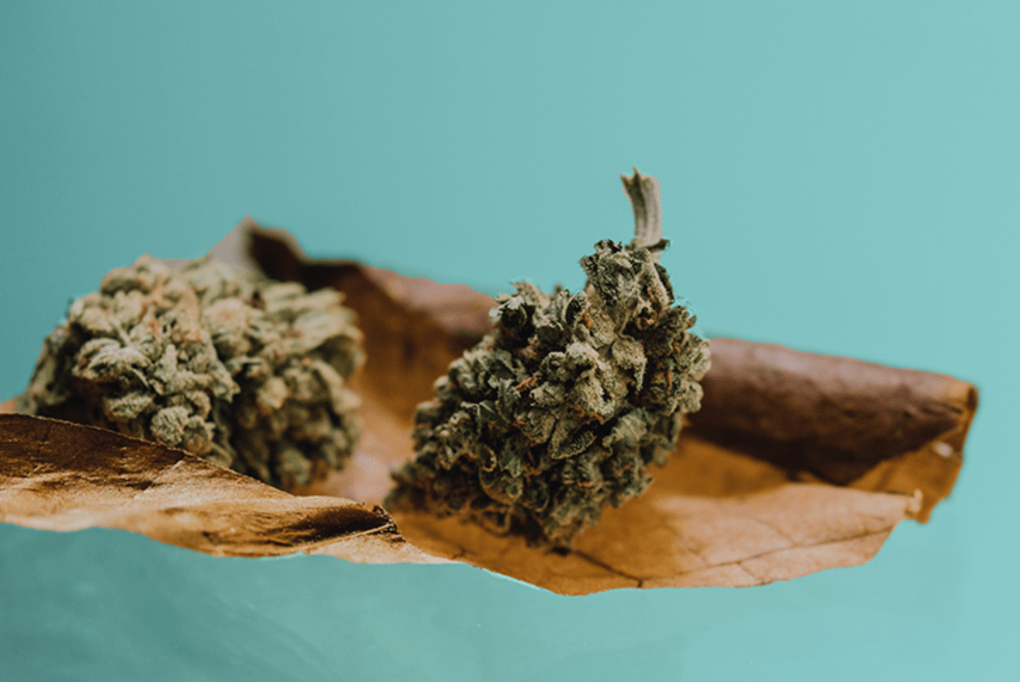 Different Ways to Inhale Your Cannabis Buzzy Tricks