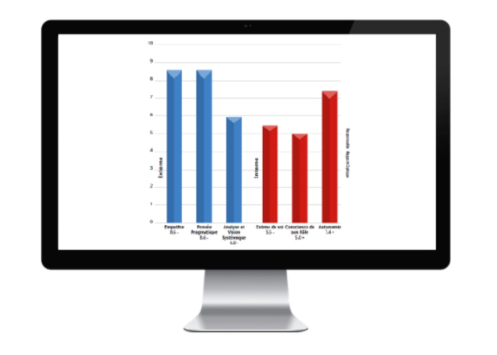 INNERMETRIX® et les SOFT SKILLS avec l'ATTRIBUTE Index®