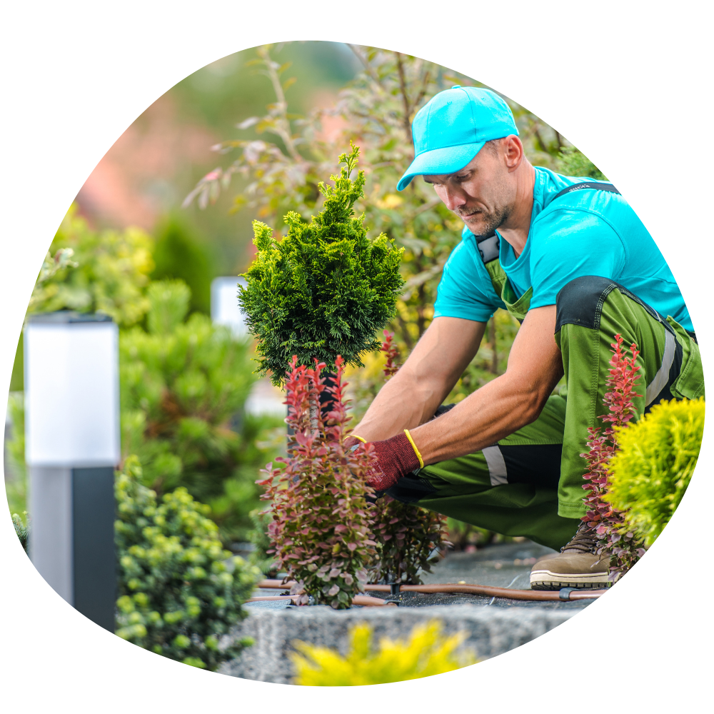 Beautiful View Landscaping & Construction Transforming your outdoor