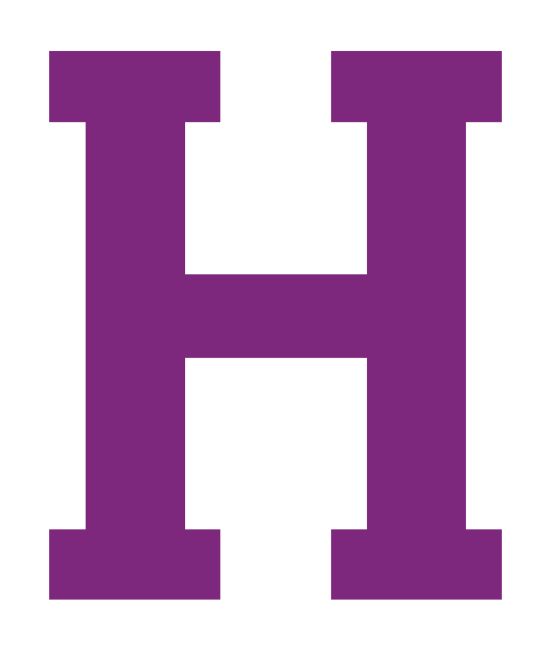 Hunter College Hawks Women's Basketball BVM Sports