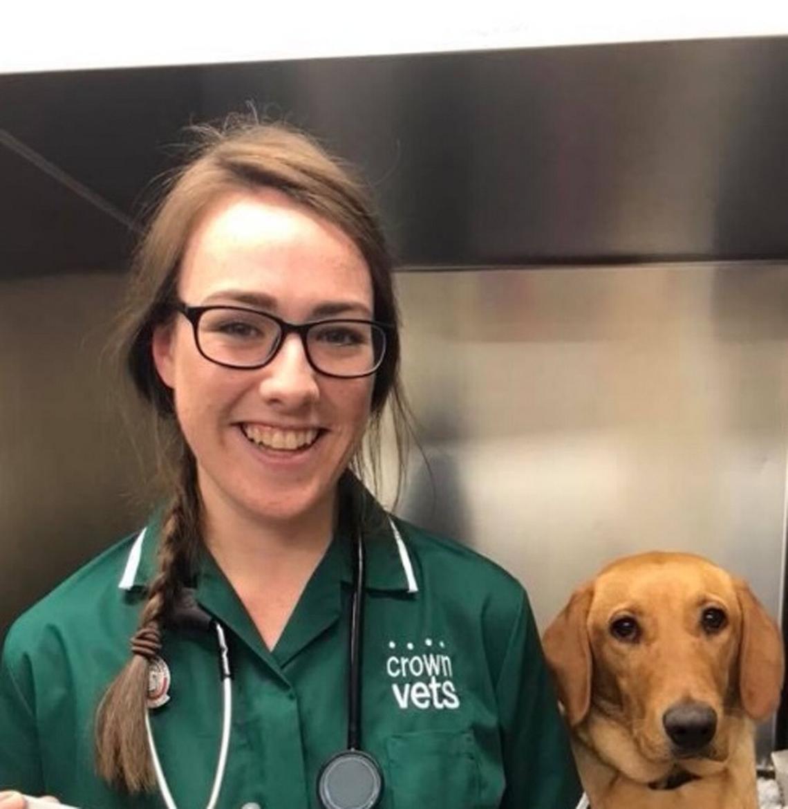 The influence of media on the ownership of brachycephalic breed dogs by