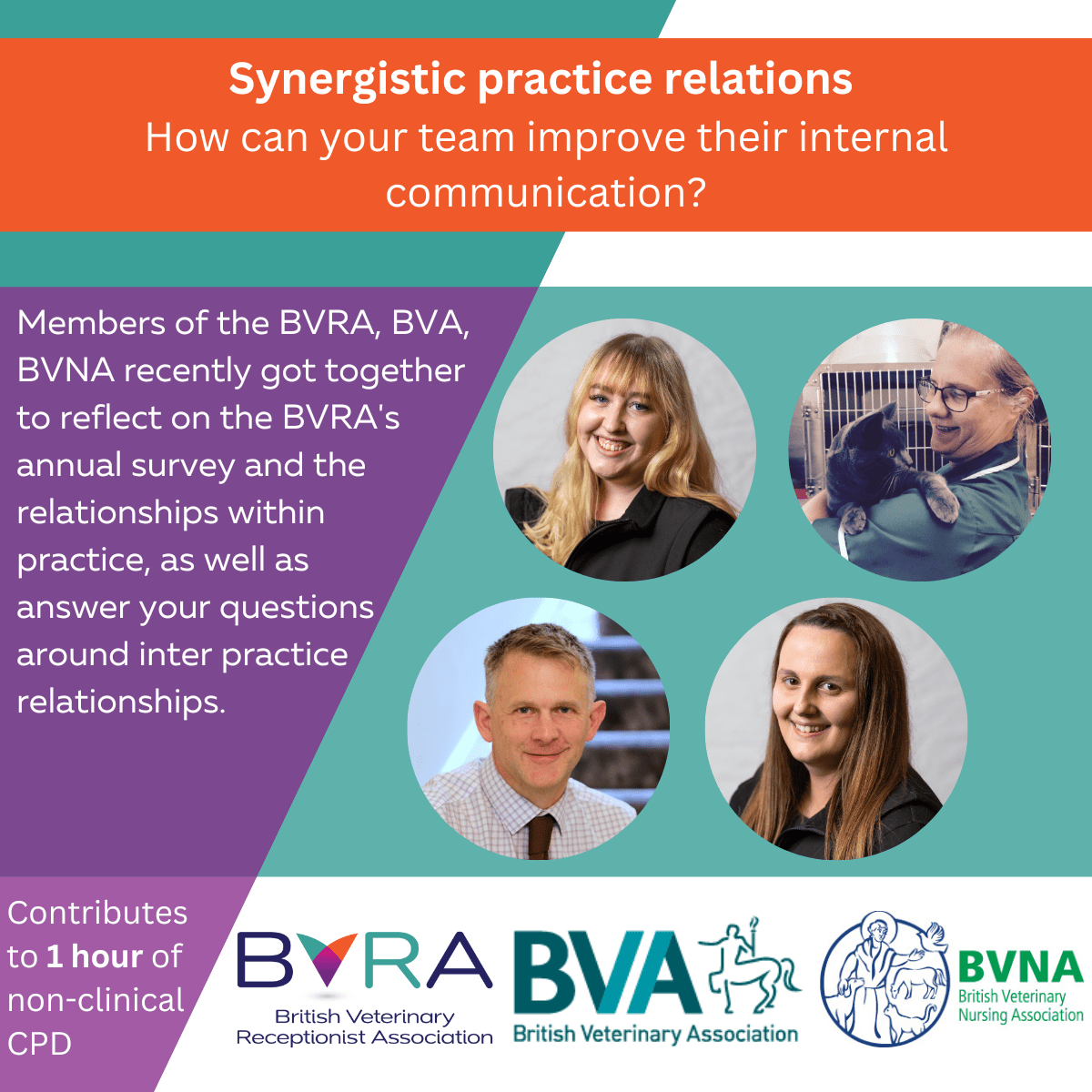 Synergistic practice relations How can your team improve their