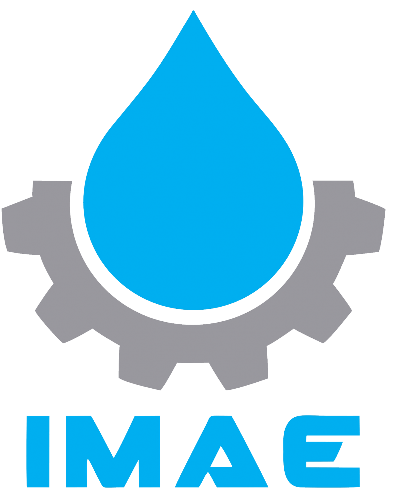 BVQA International Certification Body.. INTERNATIONAL INDUSTRIAL