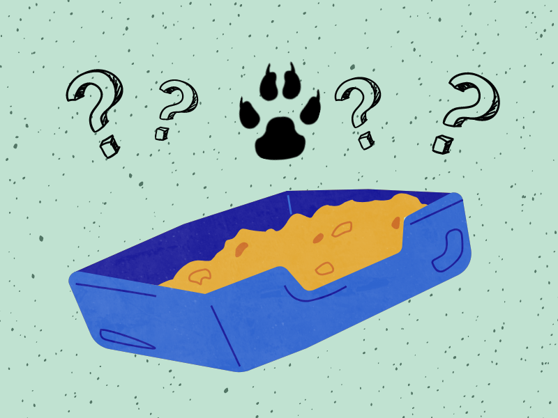 Something Stinks The Litterbox Lie The Tack Online