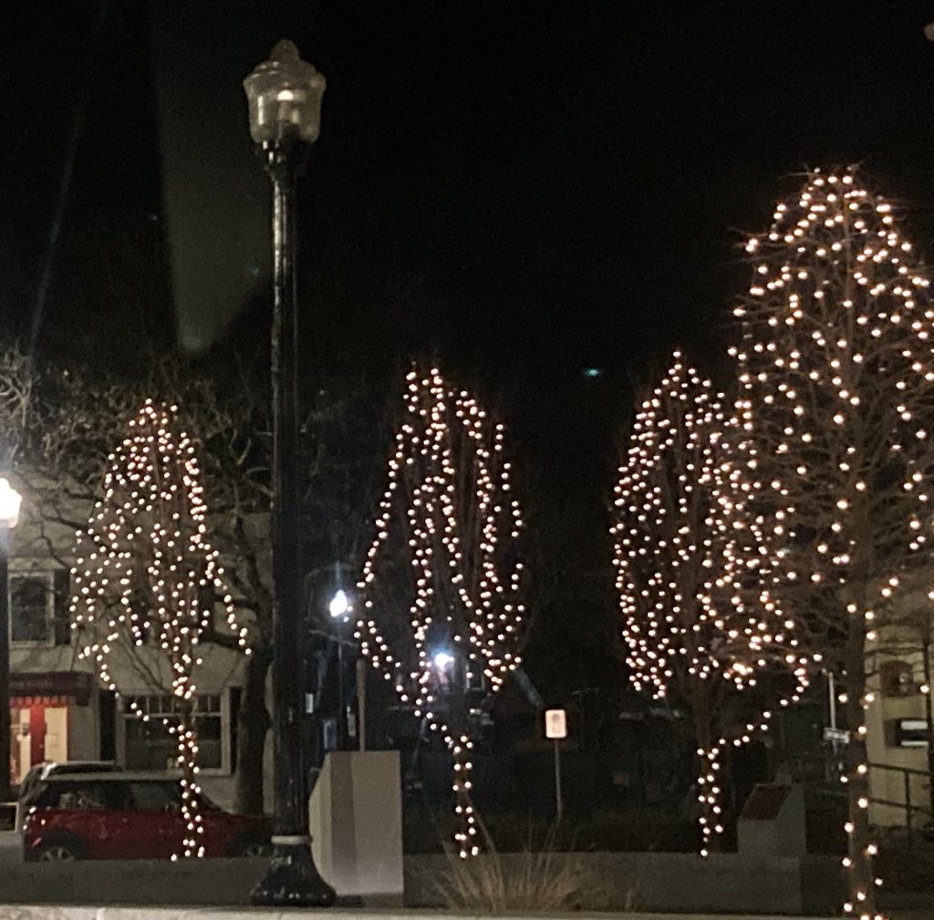 Elks Home Bedford Va Christmas Lights 2015 eyiwumidesigns