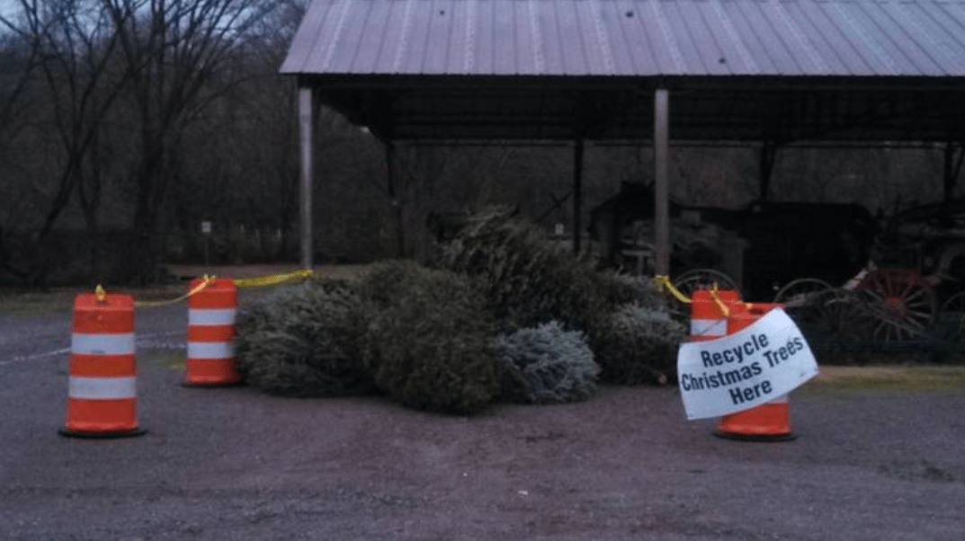 Convienent Drop Off Christmas Trees 24/7 Next to Cannonsburgh in