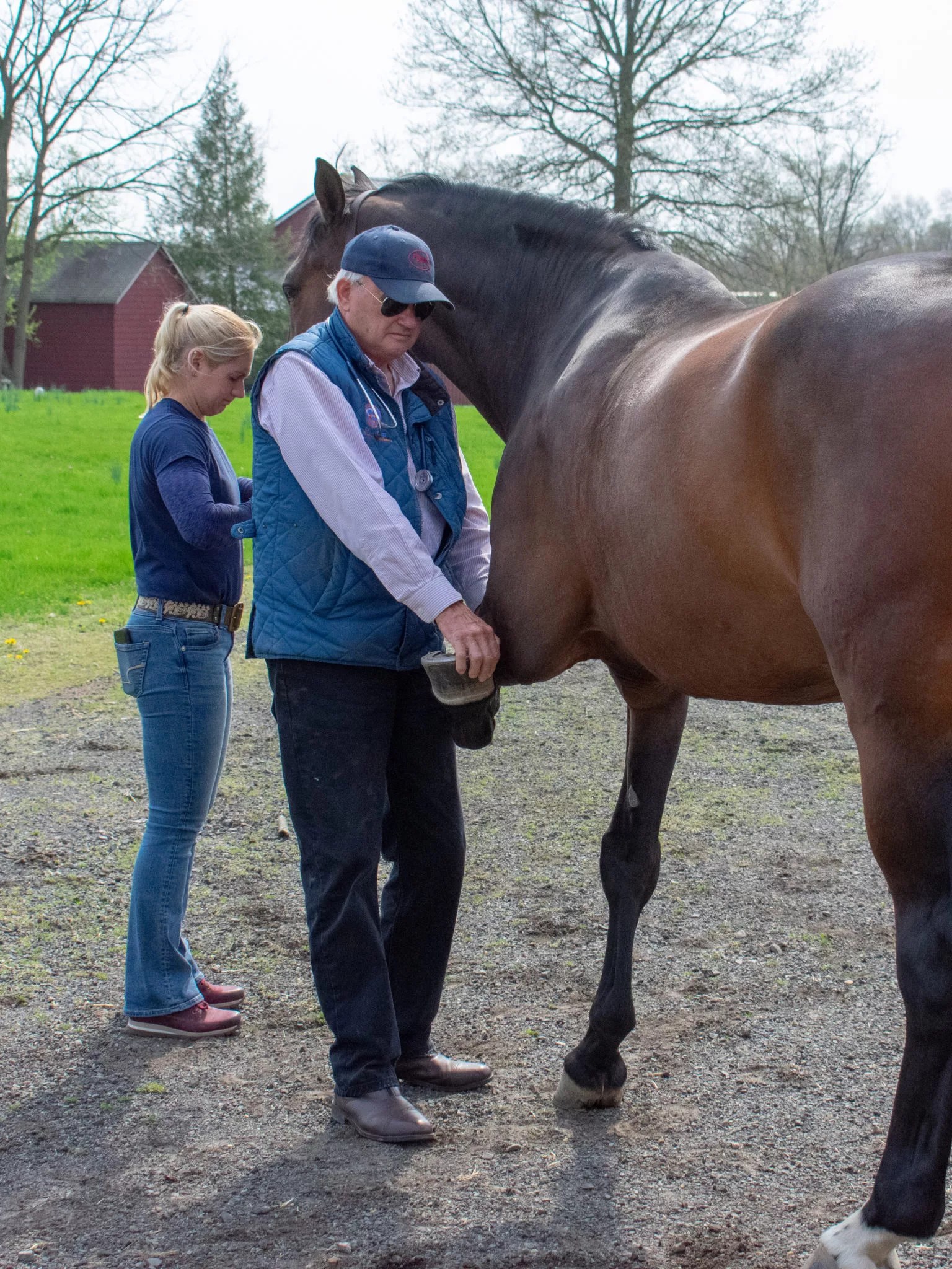 Equine Sports Medicine in New Jersey B.W. Furlong & Associates