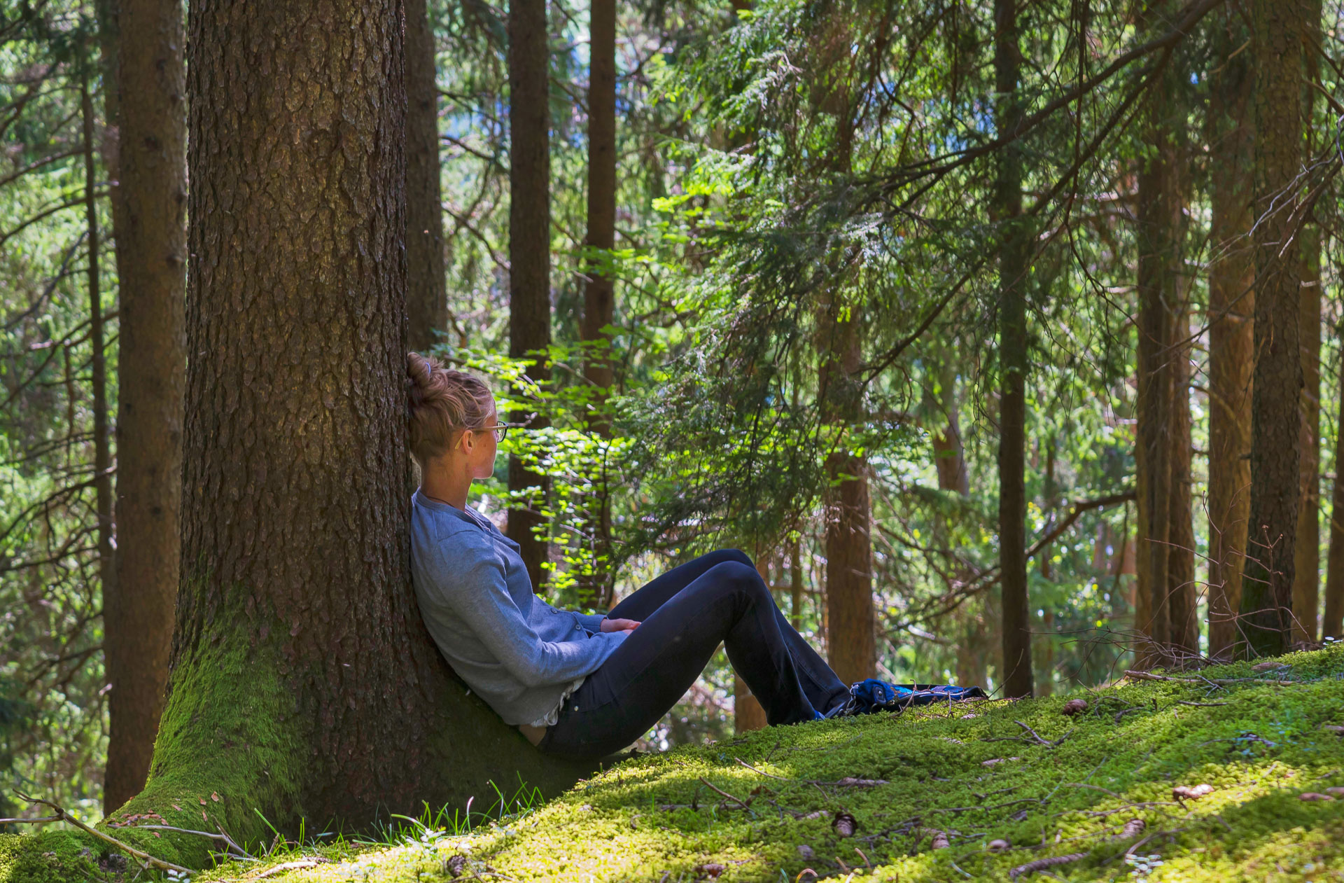 Forest Therapy Sessions Help Heal the Healer Brigham Bulletin