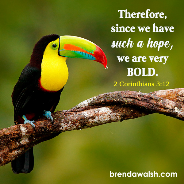 Holy Boldness Brenda Walsh Scripture Images