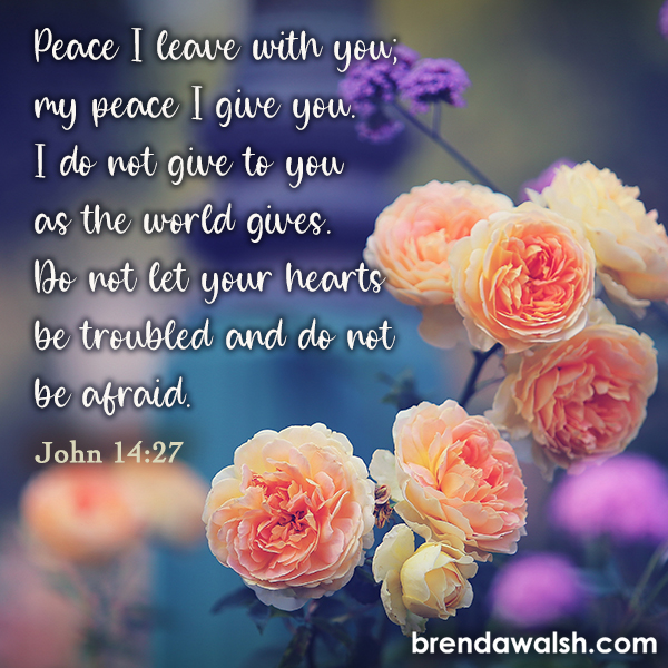 Words of Comfort Brenda Walsh Scripture Images