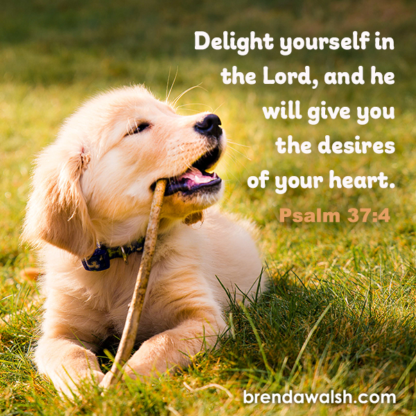 God Knows Your Heart Brenda Walsh Scripture Images