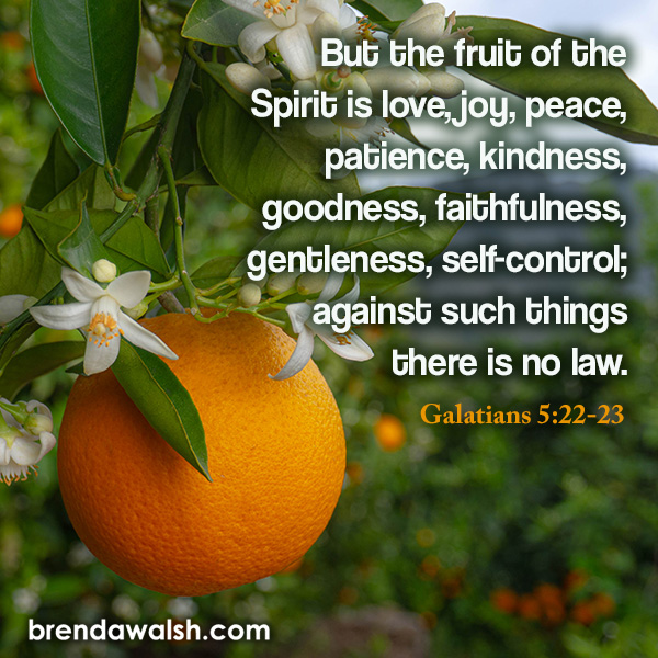 Fruits of the Spirit Brenda Walsh Scripture Images