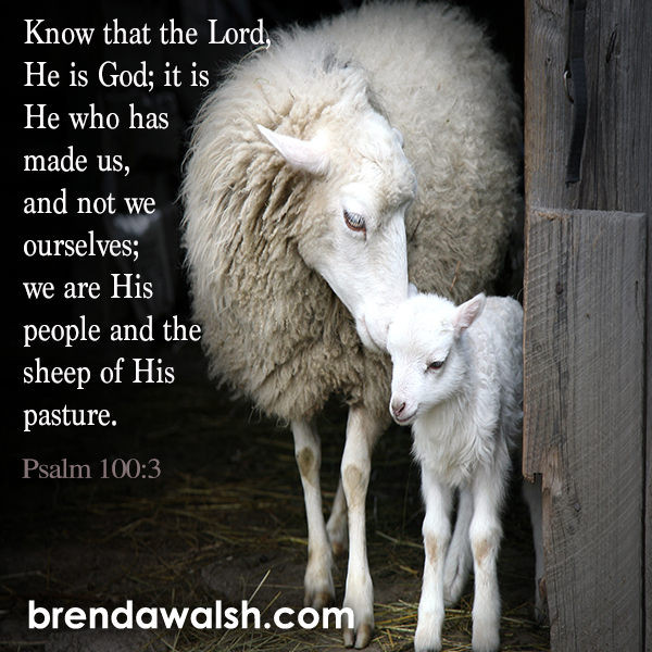 Sheep of His Pasture Brenda Walsh Scripture Images
