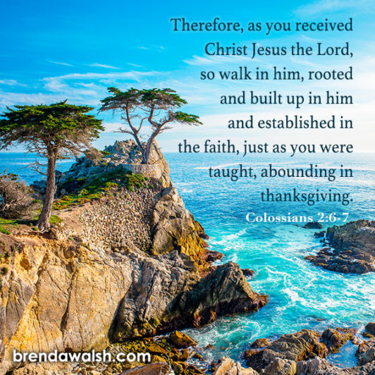 Growing Roots Brenda Walsh Scripture Images