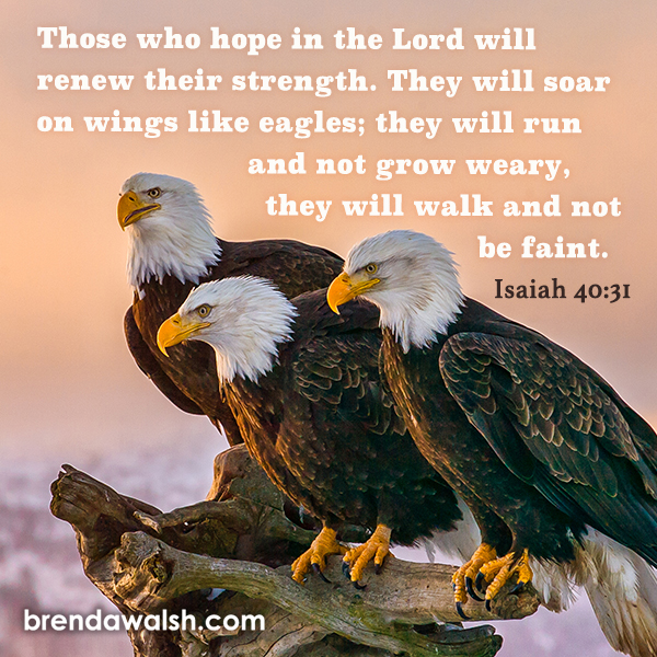 Wings Like Eagles Brenda Walsh Scripture Images