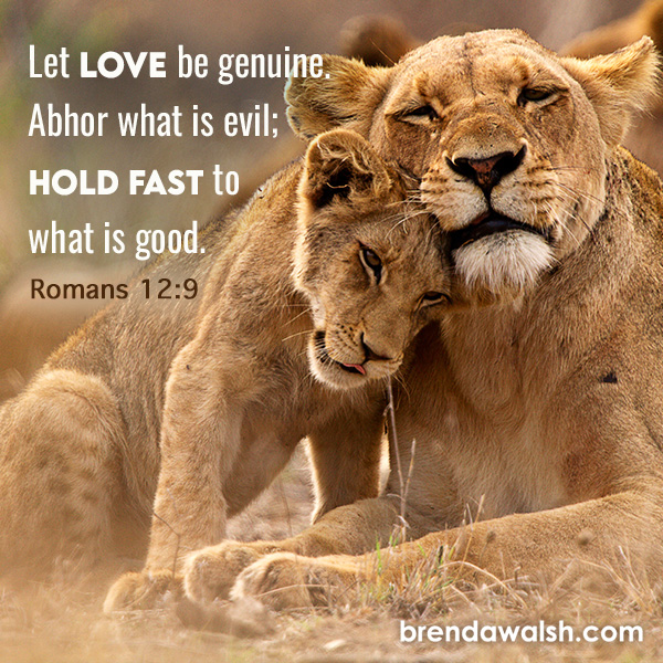 Hold Fast Brenda Walsh Scripture Images