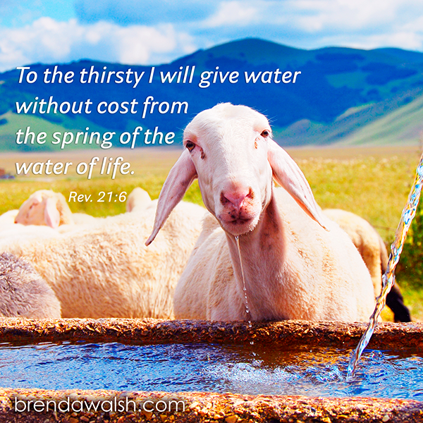 No Cost Brenda Walsh Scripture Images