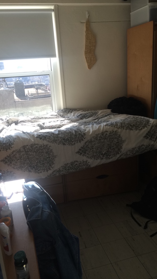 Barnard Housing Reviews 2016 Plimpton Hall Bwog