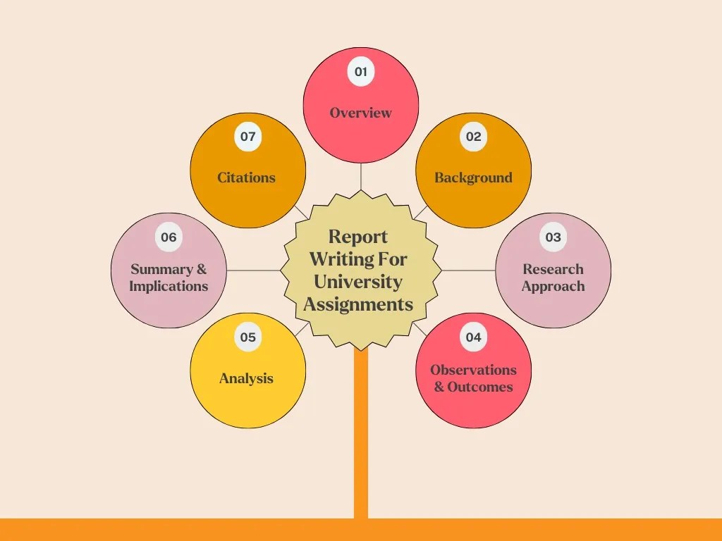 How To Write A University Assignment BY Assignment Expert