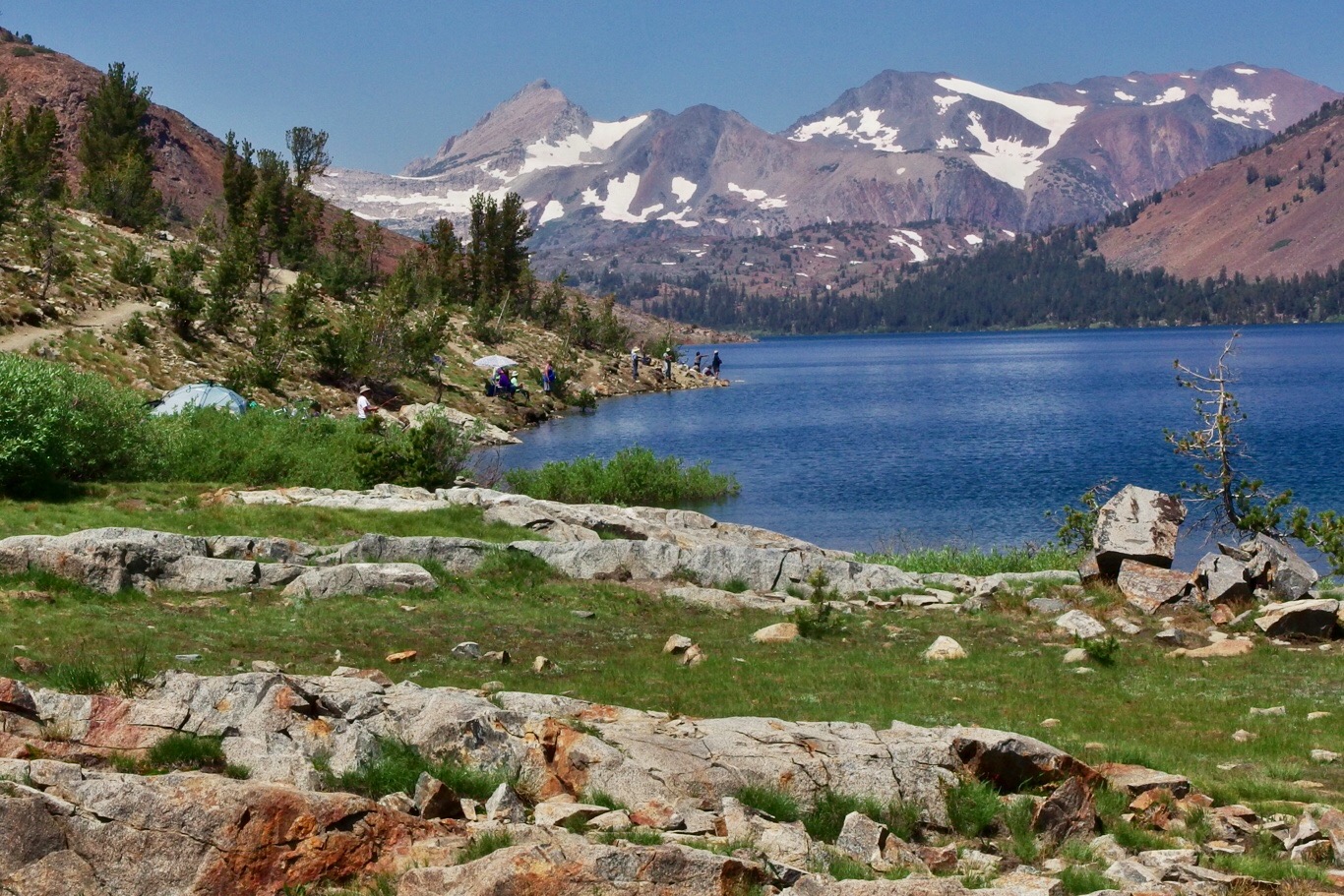 Saddlebag Lake Back Yard Biology