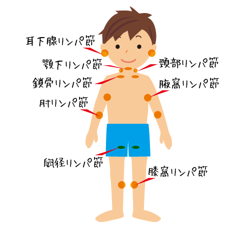 リンパマッサージとアトピーの関係 バイバイアトピー