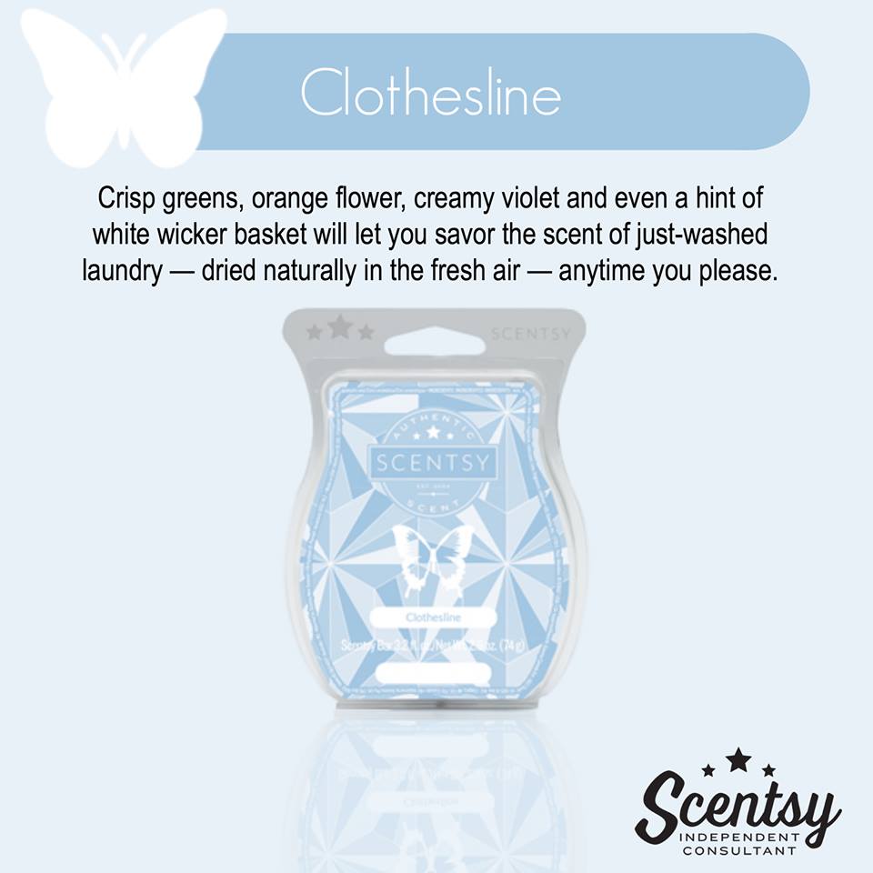 Real Scent Feedback Clothesline and Braeburn Melissa Dell Bye Wicks