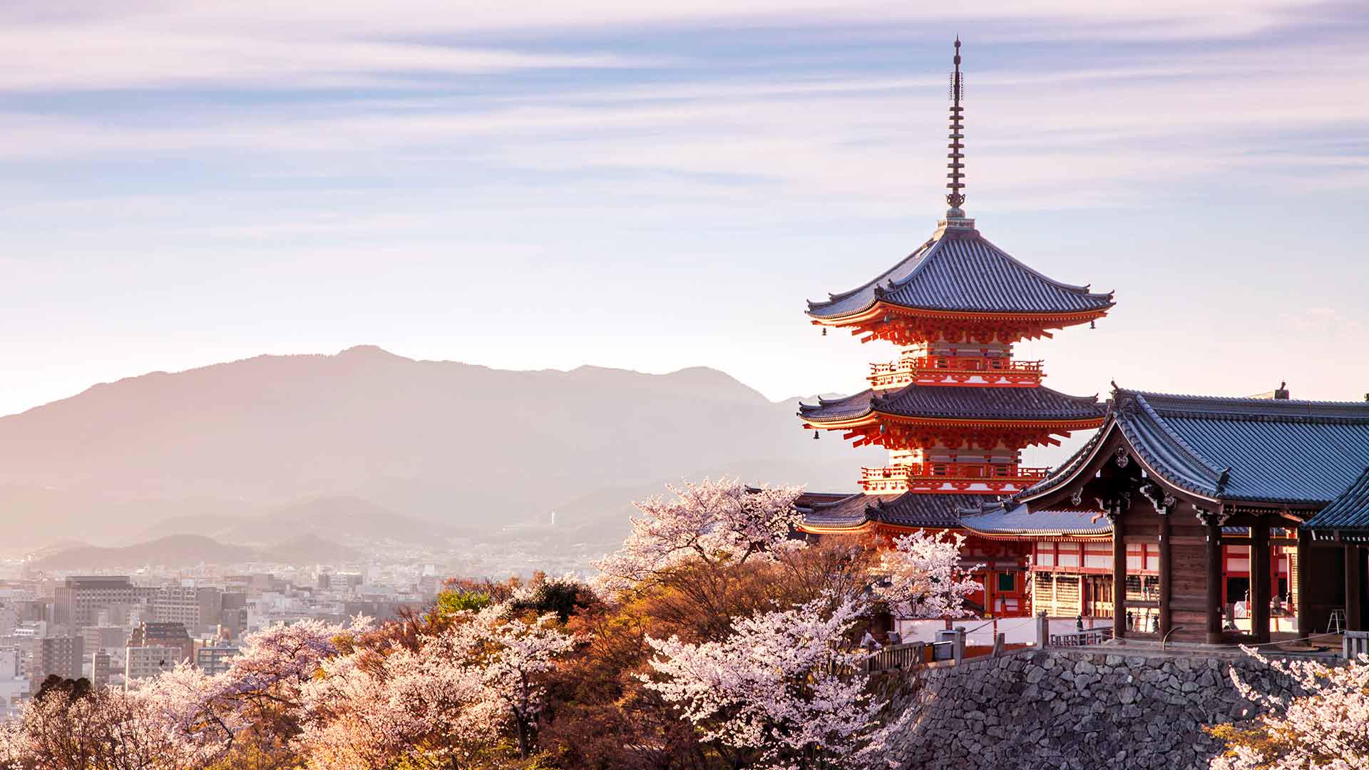 Sakura Guide 10 Best Places To See Cherry Blossoms in Kyoto byFood