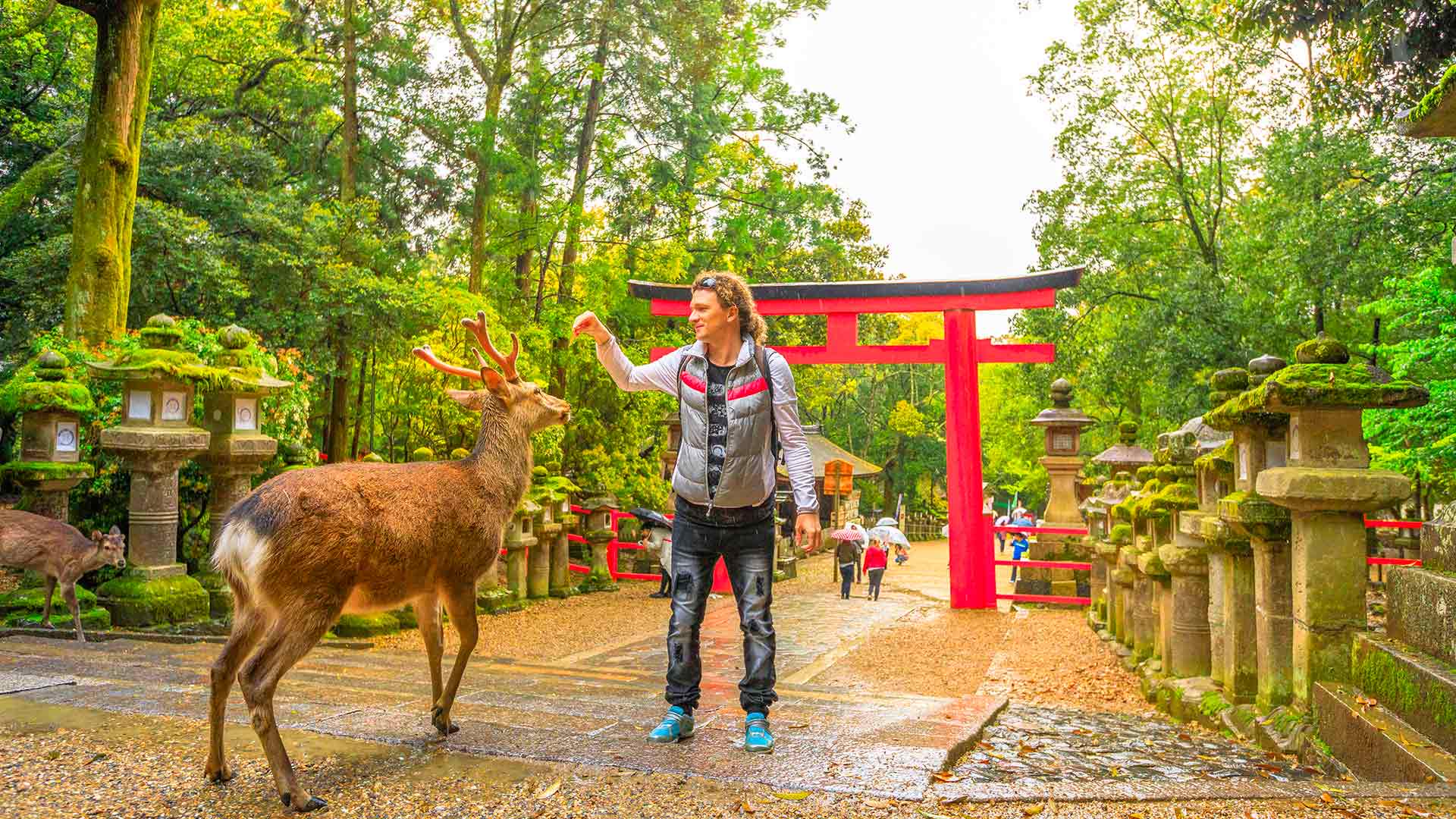 10 American Travel Bloggers Featuring Japan byFood