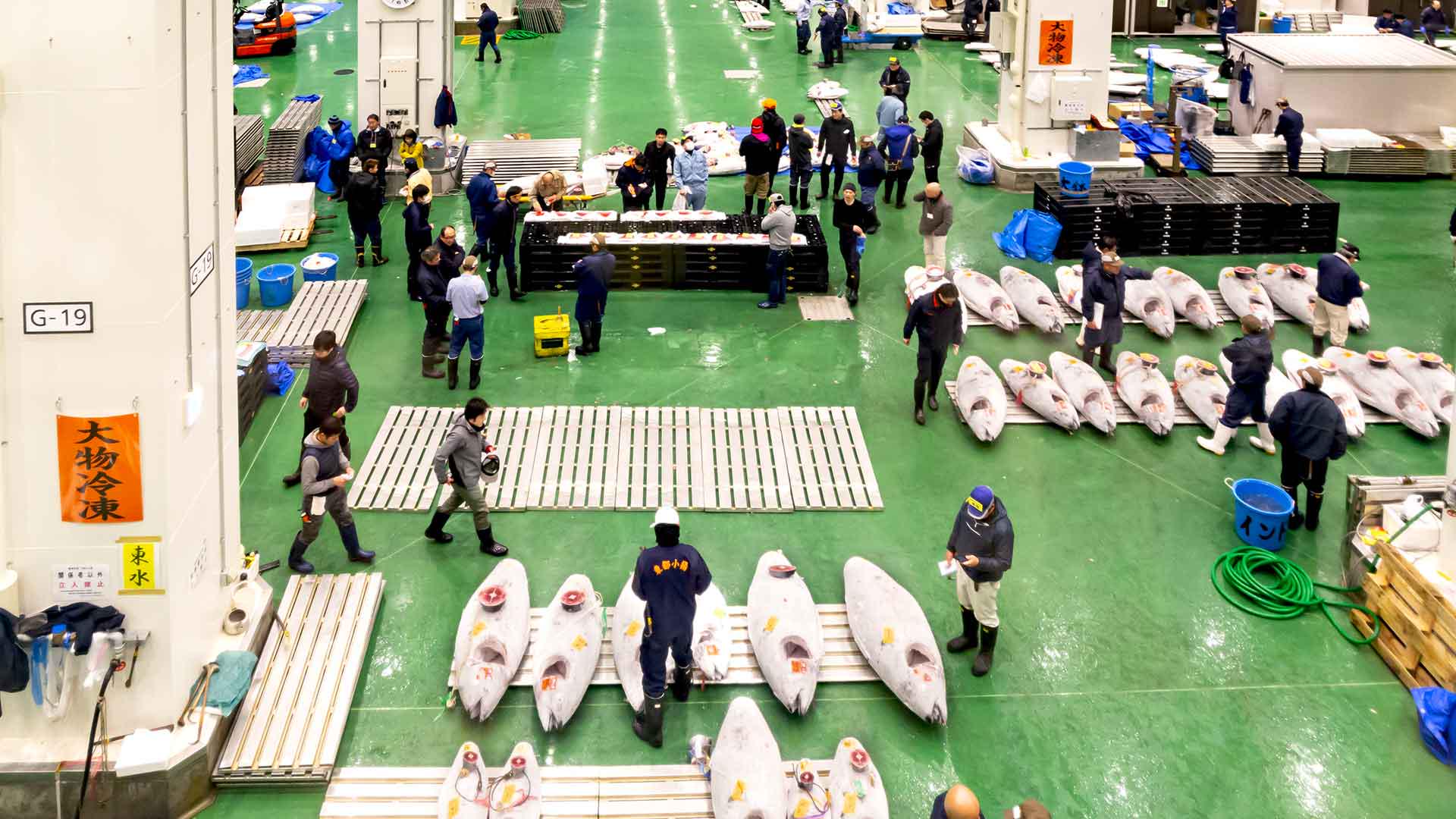 Toyosu Fish Market Food Experiences & Restaurants byFood