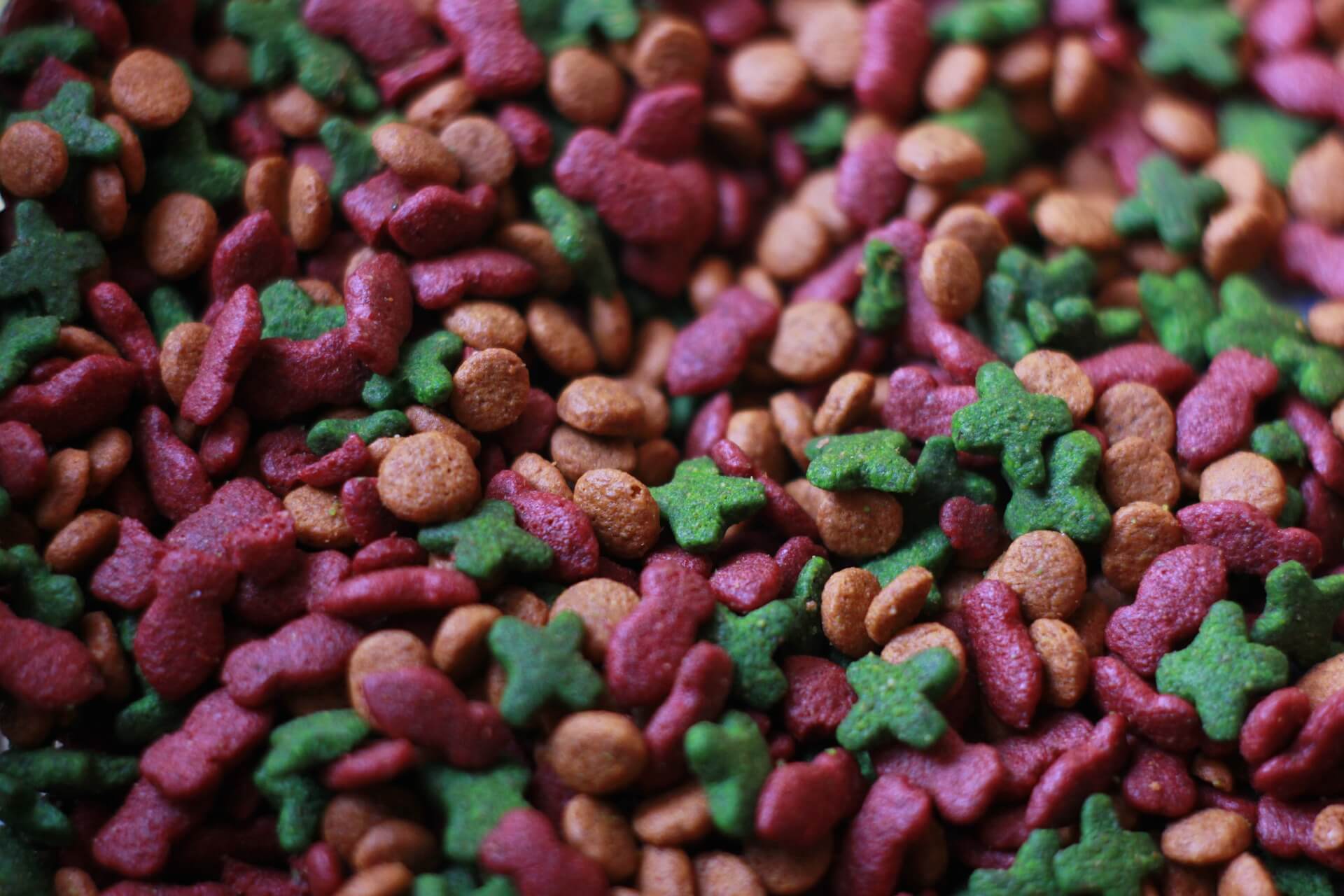 All about insect pet food