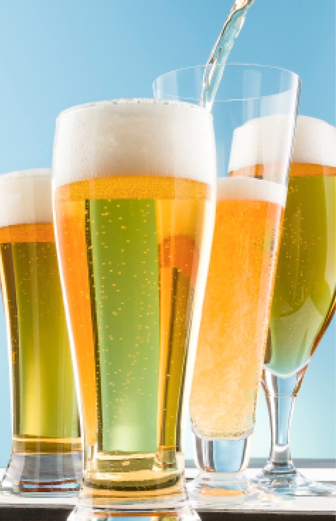 Fast Lagers Ferment Your Favorite Lagers in Less Time Brew Your Own